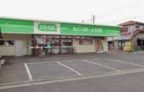 コープみらい コープ桶川店の画像1