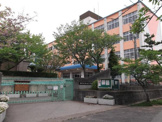 桜が丘小学校