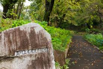 玉川上水永泉寺緑地