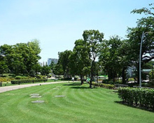 Midtown Garden