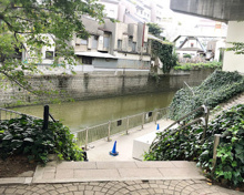 公園 親水テラス