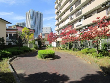 金山町緑地の画像1