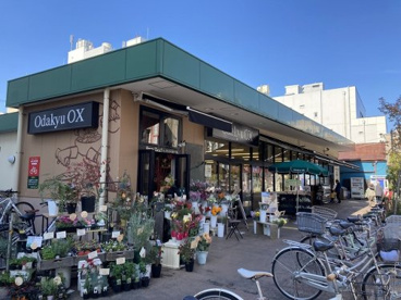 Odakyu OX(オダキュウ オーエックス) 小田原店の画像1