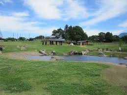 荻窪公園の画像1