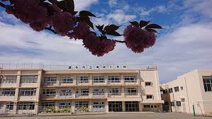 調布市立滝坂小学校