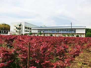 三鷹市立第七中学校の画像1