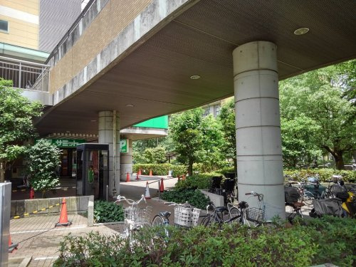 の画像