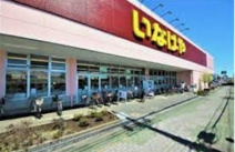 いなげや あきる野雨間店