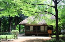 都立蘆花恒春園