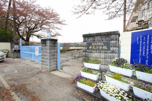 の画像