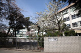 江戸川区立鹿本中学校