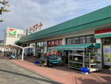 ヨークマート 鴨宮店