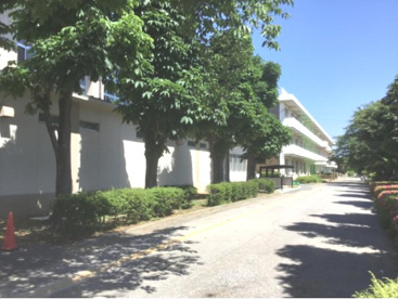 新堀小学校の画像1