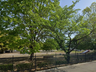 妻沼運動公園の画像1