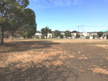 石原公園の画像1