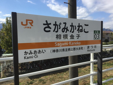 相模金子の画像1