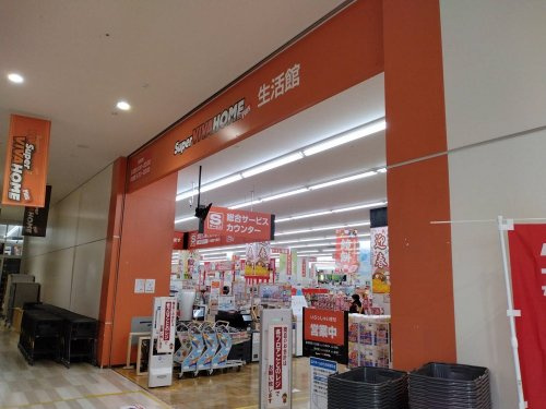 の画像