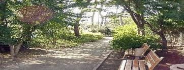 まつぼっくり緑地の画像1