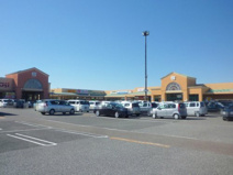 フジグラン野市