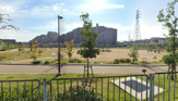 さくら池公園