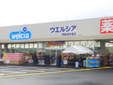 ウエルシア伊勢崎八寸店