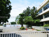 府中市立府中第六小学校