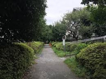野川緑地公園