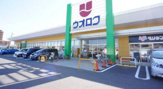 ウオロク　本馬越