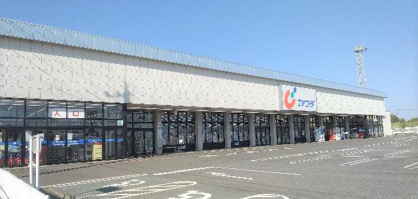 カワチ薬品 藤代店の画像1