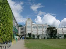 杉並区立東田小学校