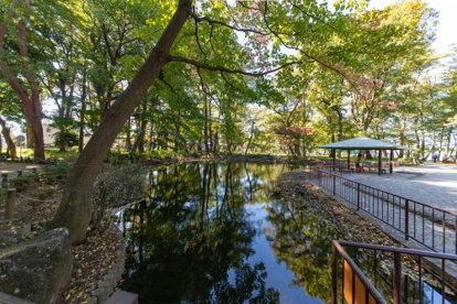 杉並区立塚山公園の画像2