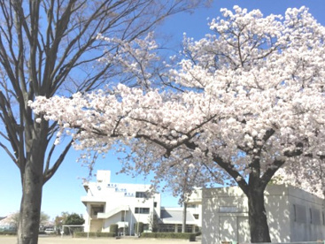 西中学校の画像1