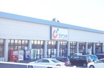 カワチ薬品 石井町店