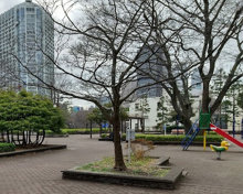 東麻布児童遊園