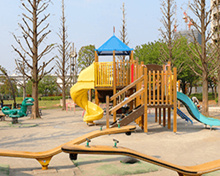 お台場レインボー公園