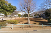 本郷児童公園