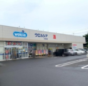 ウエルシア太田宝泉店の画像1