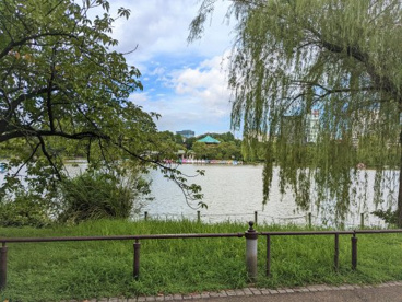 不忍池（蓮池）の画像1