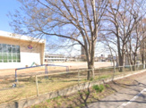熊谷南小学校