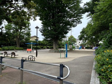 杉並区立下高井戸おおぞら公園の画像3