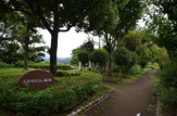 大和みはらし緑地