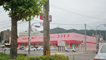 コスモス