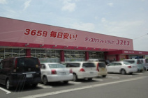 コスモス