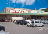 エブリイ船越店