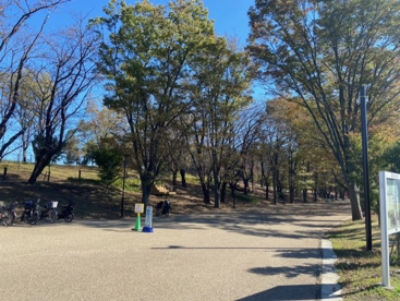 鶴間公園の画像1