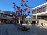 南町田グランベリーパーク