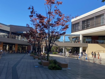 南町田グランベリーパークの画像1