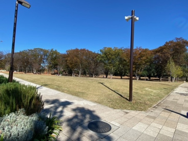 鶴間公園の画像1