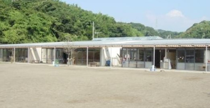 大磯町立たかとり幼稚園の画像1
