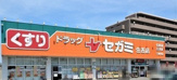 セガミ薬局